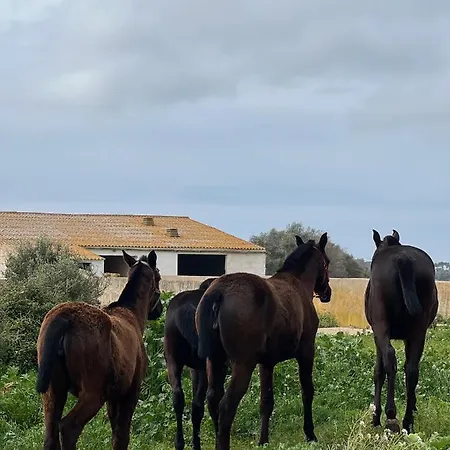 Islanders Menorca Country Club ヴィラ *