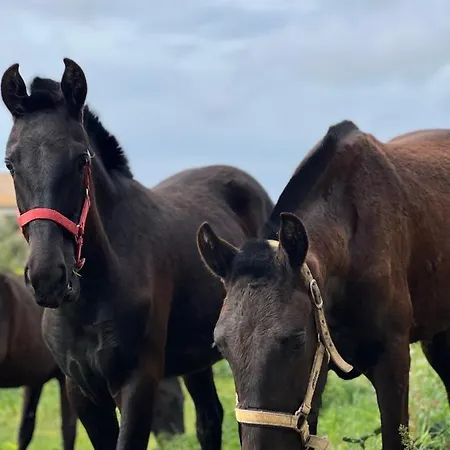 Islanders Menorca Country Club Villa *