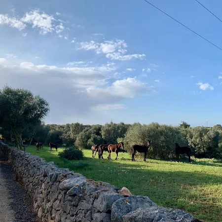 Islanders Menorca Country Club * Son Carrio (Menorca)